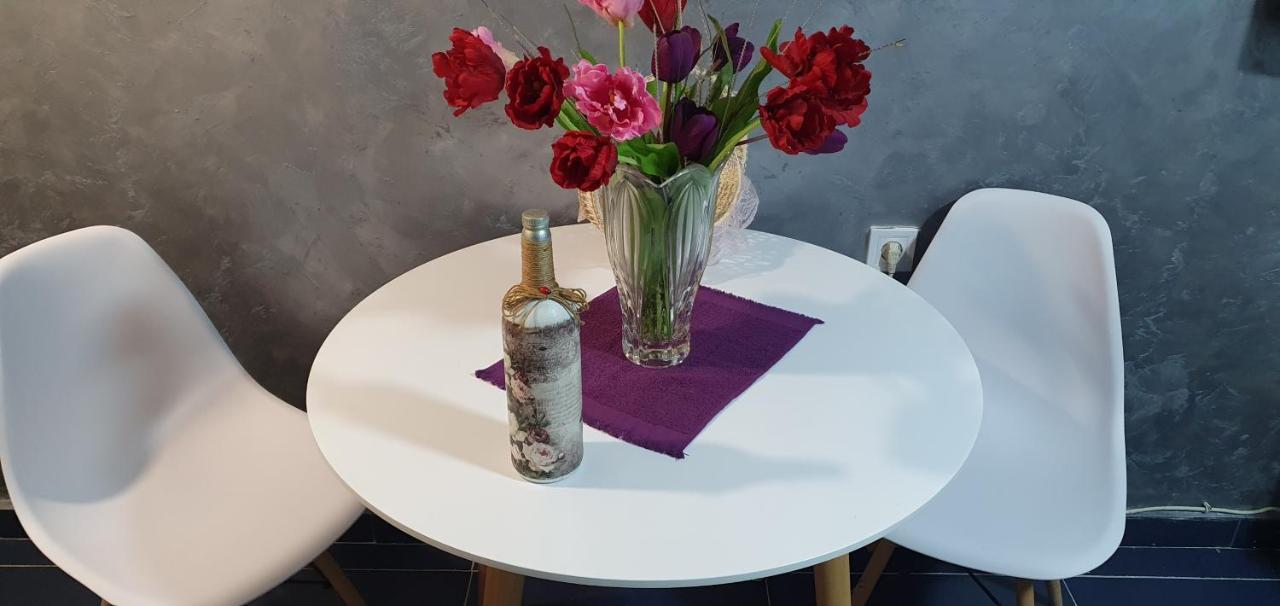 Cozzy Apartment Near The Aiport Podgorica Mitrovici  Екстериор снимка